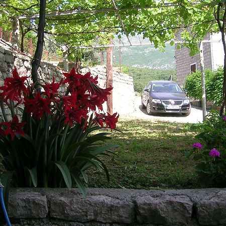 Apartments Midzor Petrovac Kültér fotó