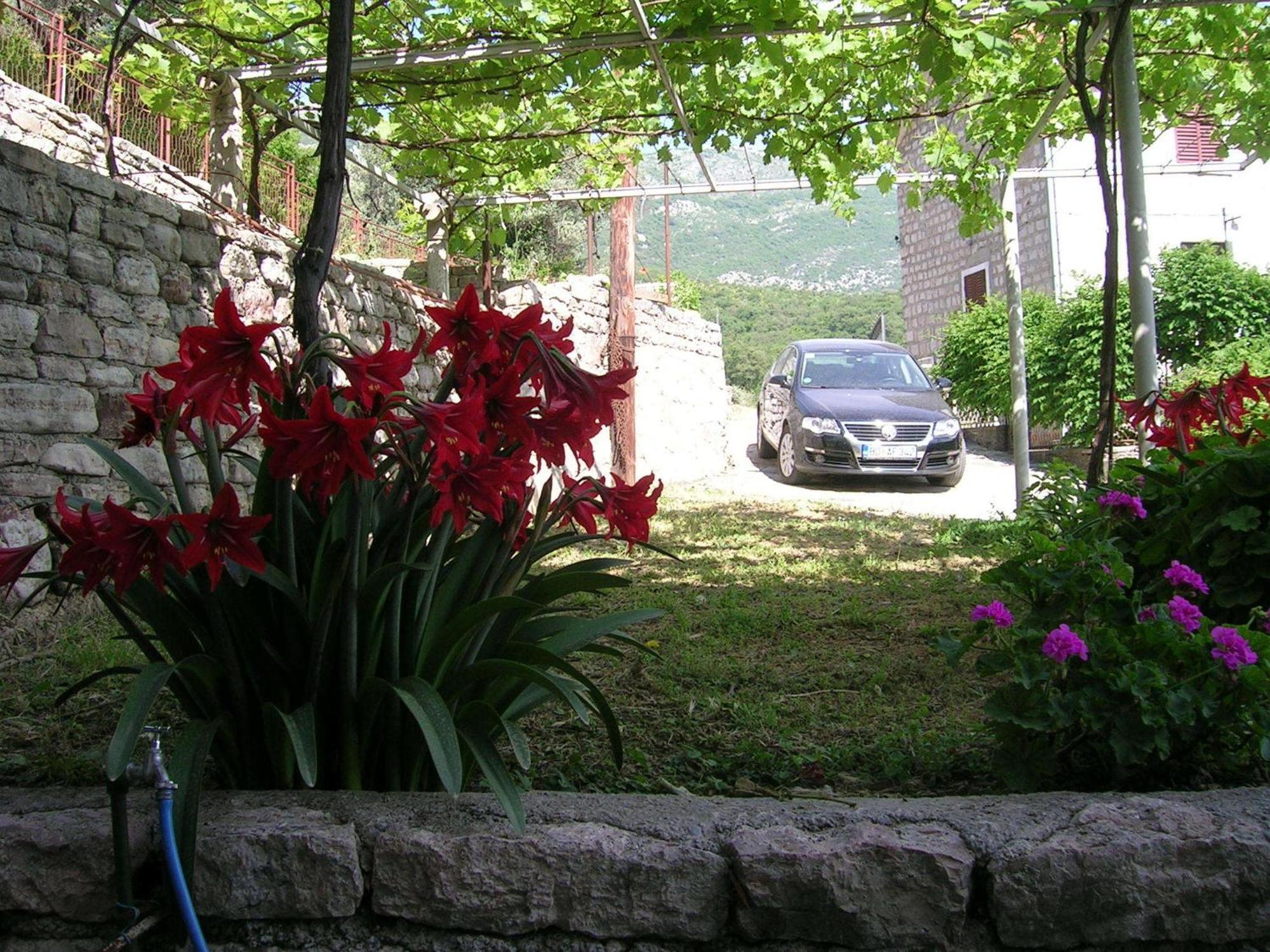 Apartments Midzor Petrovac Kültér fotó